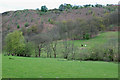 Fields by the Nant Gwydol