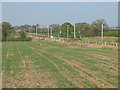 Fields alongside the Crewe to Manchester railway