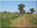 Towards Wetherden Hall Farm