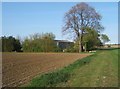 Fields around Bacton Hall