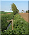 Ditch towards farm buildings at Bacton Hall