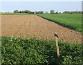 Open fields near Bacton Hall