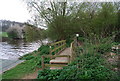 Small bridge on the Medway Valley Way near Wateringbury