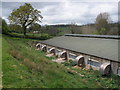 Battery farm, near Greenham