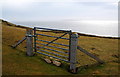 HY5429 : Gate and fence by Ian Balcombe