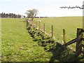 Fields and fence near Bavington Mount