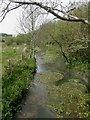 Bere Regis, Bere Stream