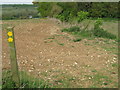 Footpath junction near College Wood