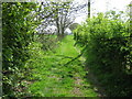 Bridleway to Park Farm