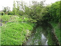 Looking downstream on the Great Stour