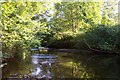 The River Yeo at Bish Mill