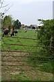 Across the fields to Weston Fields Farm