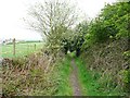 Cow Close Lane, Wyke