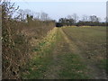 TL0770 : Bridleway by hedge line by Shaun Ferguson