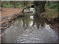 The River Shuttle in Bexley Park Wood