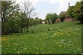 Grassland off Cradley Road, Cradley Heath.