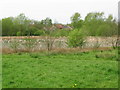 Small lake to the SW of the Stour Valley Walk