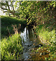 SP4667 : Milholme Brook, near Kites Hardwick by Andy F