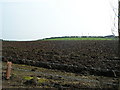 H9251 : Ploughed Field, Lissheffield Road by P Flannagan
