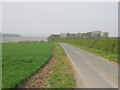 Track Towards Wold House Farm