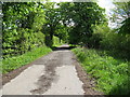 Lane alongside Westridge Farm