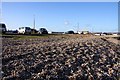 Beach at Eastney