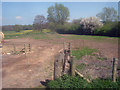 Footpath east of Blackpole