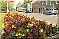 Floral display, Scarva 2009 (1)