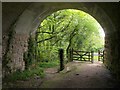 Bridge, Bittaford