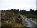 NS0395 : Forestry road by John Ferguson