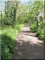 Riverside path running parallel to Liss railway station