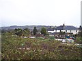 Tiverton : Allotments & Houses