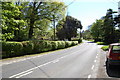 A271 near Stevens Crouch