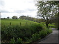 Ditch, on the side of Old Chard Road