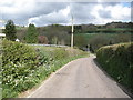 Old Chard Road, near Cotleigh Bridge