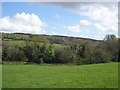 Looking across Umborne Brook valley