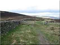 NT4131 : Gate and Stile on the Southern Upland Way by G Laird