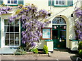 Castle Lodge entrance with wisteria