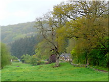 SO6129 : View to Lyndor Cottages by Jonathan Billinger