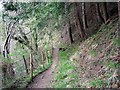 Footpath through Parson