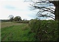 Footpath to Hatchwell