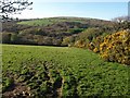 SX6759 : Field near Owley Moor Gate by Derek Harper