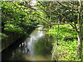 Looking upstream along the Stour at Worten