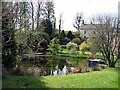 Garden pond