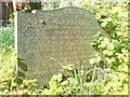 SN5001 : Grave of Thomas and Mary Perrott by Deborah Tilley