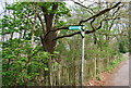 Weald Way heads north from the Bidborough Ridge