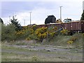 Coal being loaded onto a waiting train