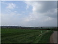 Knebworth from Swangleys Lane