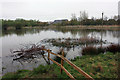 Filey Dams Nature Reserve