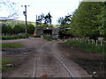 Disused railway line that used to go to Silverton Mill, looking towards main line at Ellerhayes